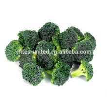 new frozen broccoli